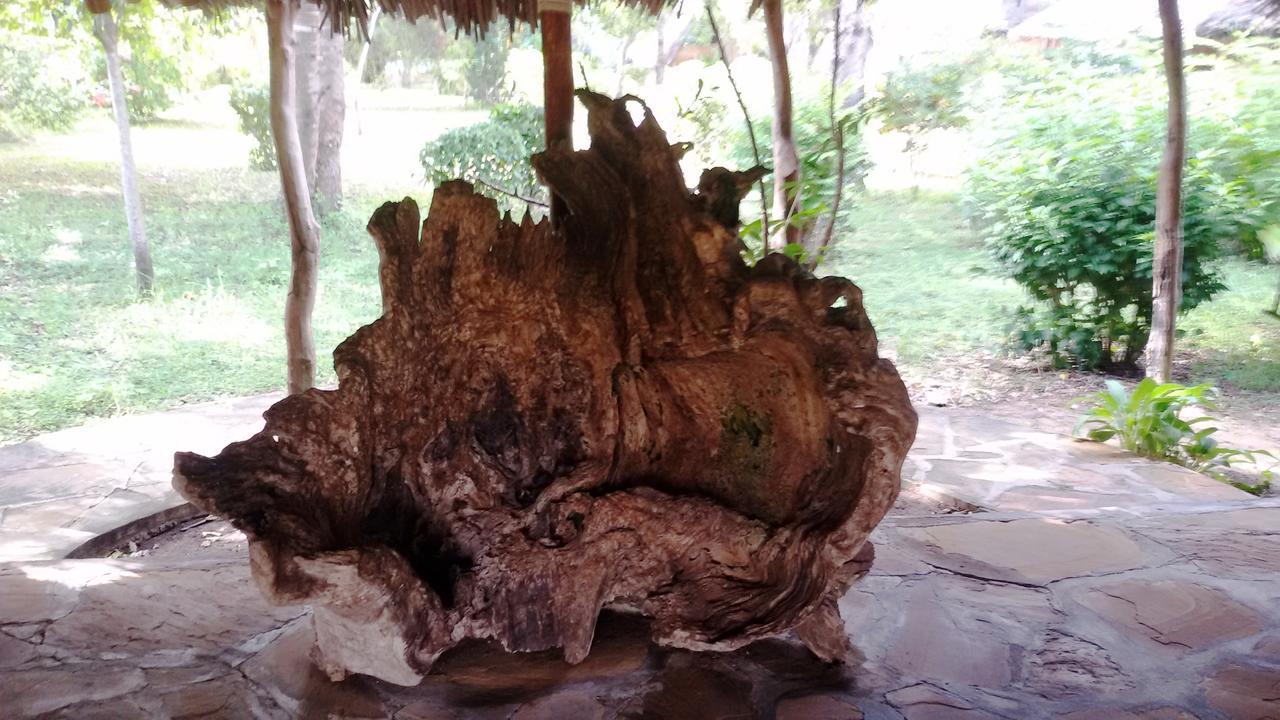 Bahari Pori Pangani